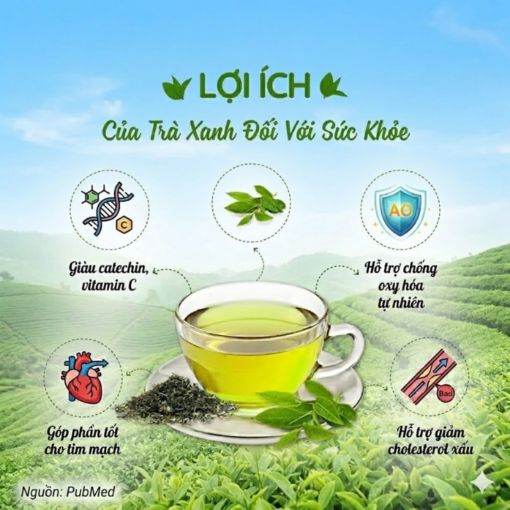 Tra-xanh-Sencha-Kanes-3.jpg